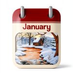 Punjabi Childrens Book My First Picture Book Language-0