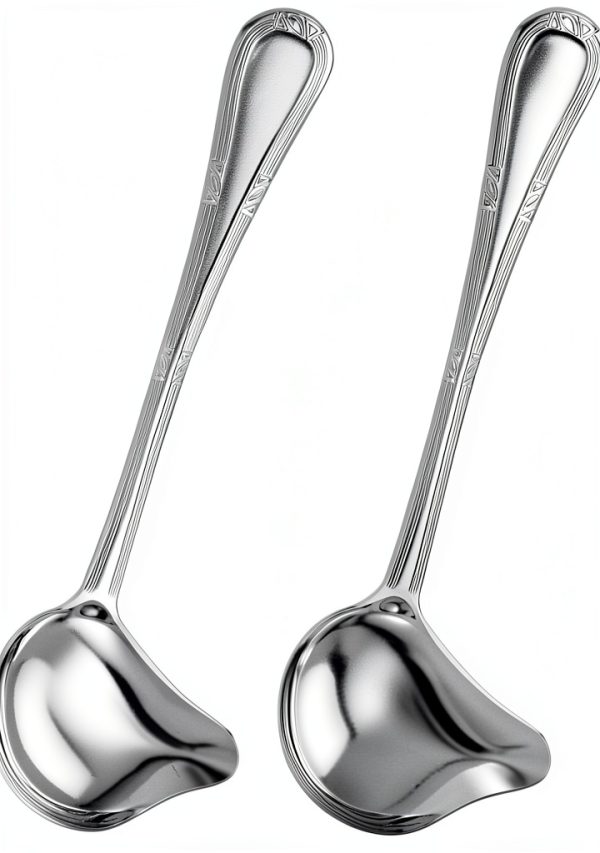 Patelai 2-Piece Small Ladle Set 1oz Stainless Steel Gravy Spoon-0