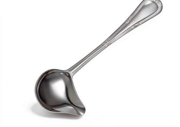 Patelai 2-Piece Small Ladle Set 1oz Stainless Steel Gravy Spoon-1